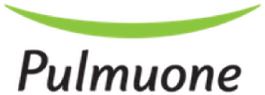 palmuone-logo